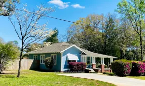 Image of The Blue Pearl