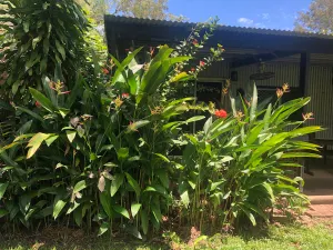 Image of 'The Ringers Cottage' Rural Retreat