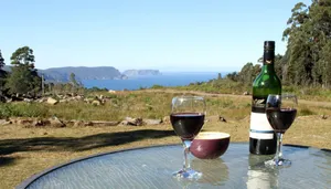 Image of Port Arthur Cabin with Endless Views