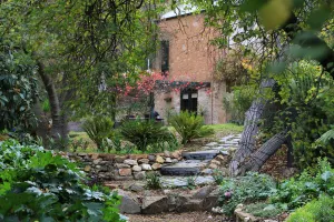 Image of Wild Olive Cottage Clare Valley