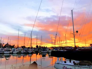 Image of Waterfront home, beautiful, serene, clean, pet friendly. Near SF, Napa, & Kayaks