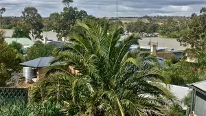 Image of Kitty Spain's cottage with river views in Mannum