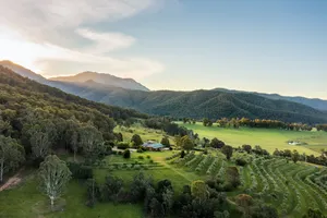 Image of The Grove Estate