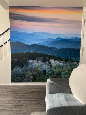 Image of Cozy townhouse with photo wall convenient to LU!