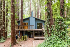Image of Adventure house under the redwoods, with spa! 🌲