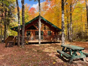 Image of Rustic Lake Michigamme Hideaway