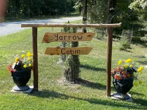 Image of Cozy Yarrow Cabin among the trees