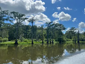 Image of Waterfront Home w/ Lake Access