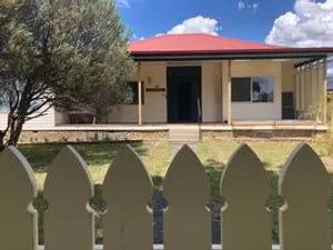 Image of Evergreen on Grey