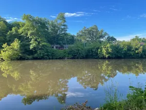 Image of River Retreat at Mid-Modern Home in Park Setting