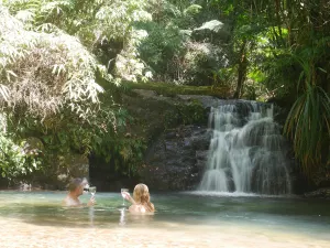 Image of Fairy Falls - romantic Daintree Rainforest retreat with enchanting waterfall