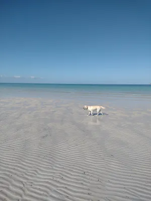 Image of Absolute waterfront Beach House