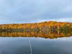 Image of Your own private lake with lodge! Sleeps 24 people. Lots of parking.