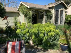 Image of Healdsburg Cottage  Walk to the Plaza, Workspace