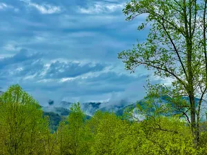 Image of Log home nestled in the Smoky Mountains.