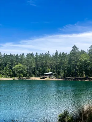 Image of 81 Pines 1-The Cabin