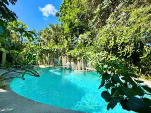 Image of Unique Art Nature Hideaway Walkable to Wilton Drive