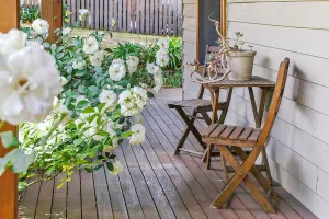 Image of Spring Creek Cottage