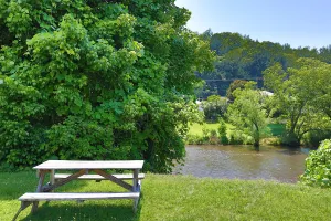 Image of Fishing, Kayaking, Pet-friendly on the Smith River
