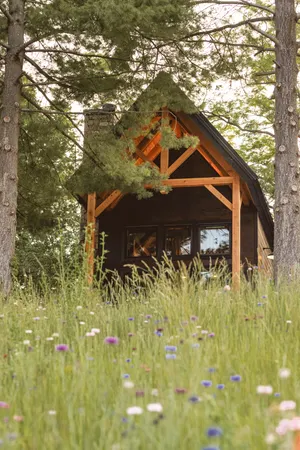 Image of #3 Pinecone Haven