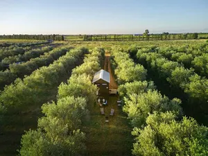 Image of Olive Grove Retreat 2 by Tiny Away