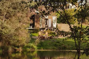 Image of The Whistling Frog by Tiny Away