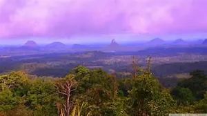 Image of White Jacaranda Tiny House by Tiny Away