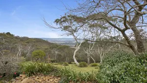 Image of Cecils Chair Blackheath Blue Mountains