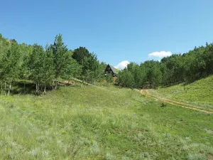 Image of Golden Chalet