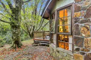 Image of Beech - 2 Perrins Creek Rd Olinda