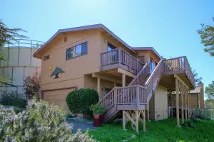 Image of A Beautiful Tree Top Panorama