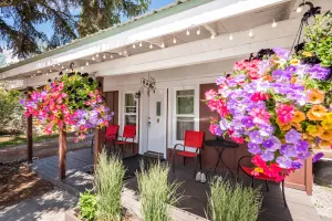 Image of The 1906 Cabin - all the Civilization you need