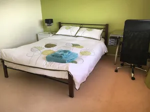 Image of Easy going self care enthusiasts! (Green room)