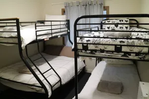 Image of New rooms in bush/vineyard setting (Cabin room 2)