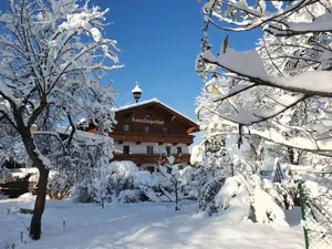 Image of Bauernhof Hanslingerhof
