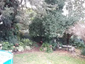 Image of Dedicated room with barbecue, terrace & garden