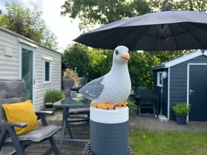 Image of Natur pur, O4 neues Ferienhaus natureingebunden, Familien- und hundefreundlich eingezäunt