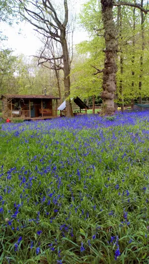 Image of Cabin with 1 room for 2 persons