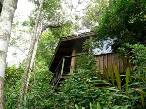 Image of Romantic Self-Contained Accommodation for Tree House Glamping, QLD