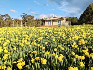 Image of Secluded Cottage Rental Tucked Away in the Countryside near Deloraine, Tasmania