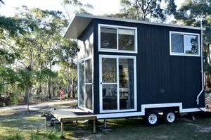Image of Tiny Nanook in Kanimbla, New South Wales