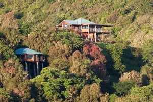 Image of Luxurious Tree House with a Spa Tub for Romantic Glamping in Queensland