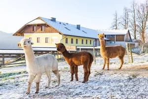 Image of Mitterhirschberg, Familie Schweighuber