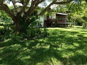 Image of Homestay - Homestay - Rural family west of Cairns