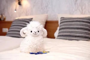 Image of Dat lütte Heidehotel Funk - Garni