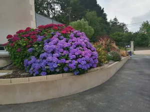 Image of Maison charmante à Trédaniel avec jardin et terrasse
