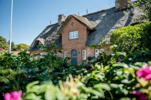 Image of Litzkow 15608