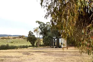 Image of Olive Sanctuary by Tiny Away