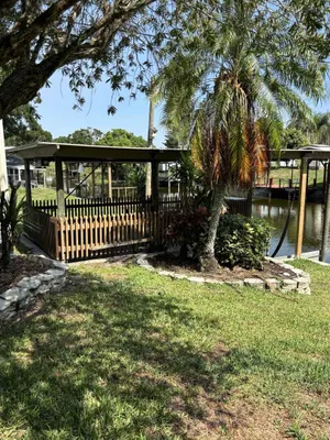 Image of Fish in the backyard.