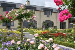 Image of B&B La Vie En Roses